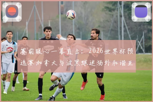 赛前暖心一幕直击：2026世界杯预选赛加拿大与波黑球迷场外和谐互动，击掌致意传递足球温度
