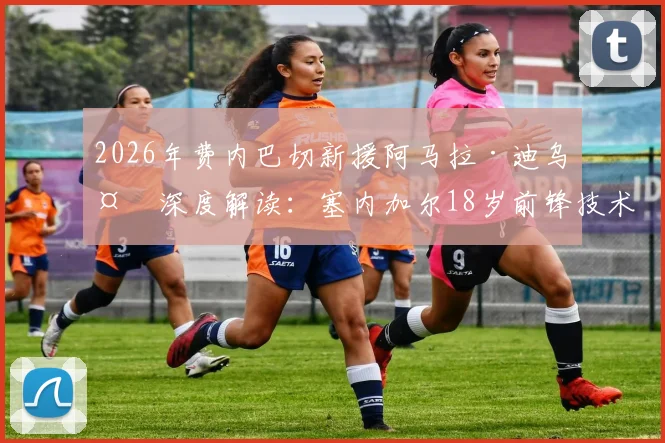 2026年费内巴切新援阿马拉·迪乌夫深度解读:塞内加尔18岁前锋技术特点、加盟原因及未来前景分析